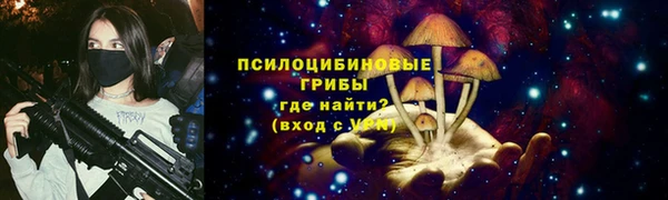 дурь Алзамай