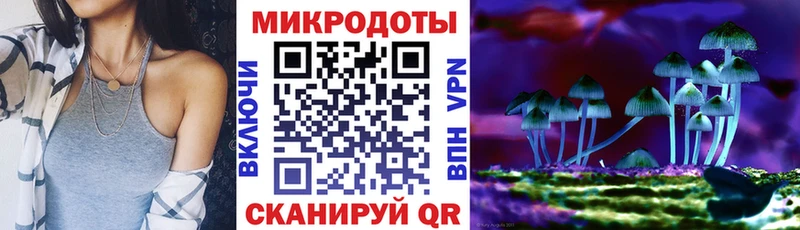Псилоцибиновые грибы Cubensis  Знаменск 